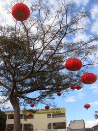 Číňané tam právě vítali Nový rok