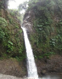 a vypadá vskutku poklidně