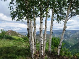 asturské hory se toho dne opravdu snažily!