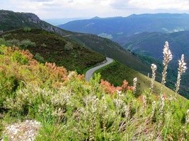 a já jsem mrskal jednu fotku za druhou