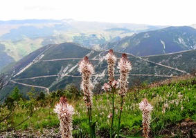 ale objevily se nádherné scenérie