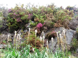 Někde se shlukly do až neuvěřitelné "tlačenice"