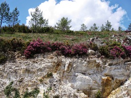Tohle je stěna bělostného křemence