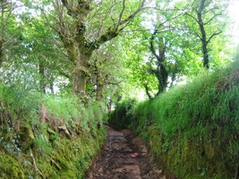 a starou úvozovou cestou