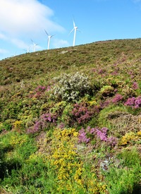 jsme vykročili k velkému stoupání