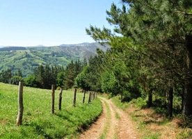 Pak už šla ale cesta dolů