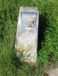 První concha! (směrová mušle)