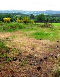 Docela se jím zahřály