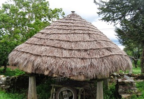 časy vzdálené a dávno minulé