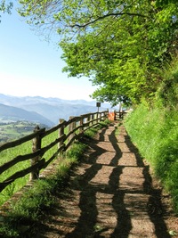 s čerstvým a průzračným vzduchem