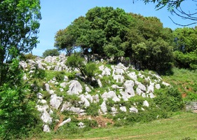 s převahou vápencové horniny