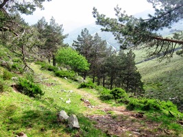 Pak cesta vystoupala až na sedlo