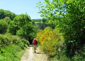 Cesta nás nakonec dovedla