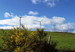 na kopec plný vrtulí