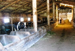 Ve vsi Villaluz nás přkvapil prastarý chlév