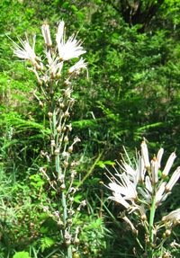 (názvy si přiřaďte sami)