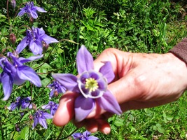 Potěšil nás ale pohled na luzné kvítí