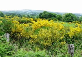 a nahoře dlouho odpočívaly