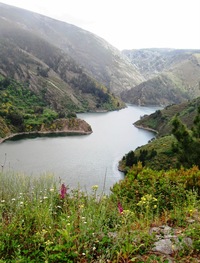 až stříbrnou vodní hladinu