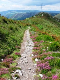 Krakonošovu zahrádku
