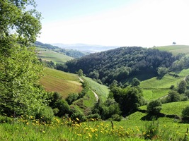 které se ale, naštěstí, brzy rozplynuly