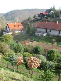 Byl slunečný jarní den