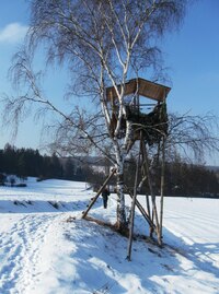 slunce svítilo, sníh jiskřil