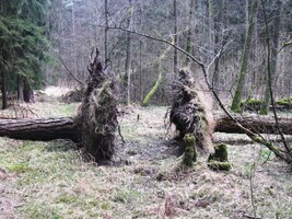 Terén je zde krkolomný