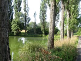 Dnes je hned zrána vedro,