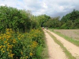 IX. etapa je dvoudení a veskrze letní