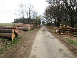 v kraji bez rozumného dopravního spojení