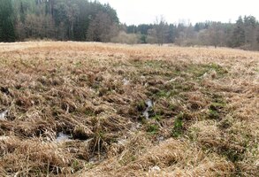 Průchod rezervací říčky Úhlávky