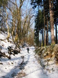 Byl nádherný zimní den,