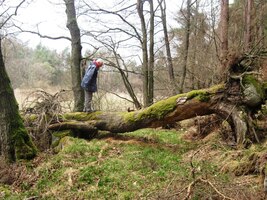 Jen Václav tu skákal jako kamzík