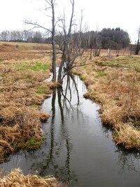 překročili hraniční potok