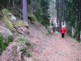 Tady začíná lesní rezervace Sedmihoří