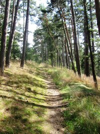 Dnes ale musíme dojít do cíle!