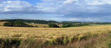 Dále vede cesta přes lesy a pole