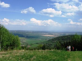 inu, Zvičina je vrch dominantní!