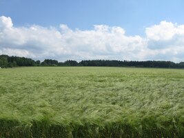 úděl vandráků a poutníků