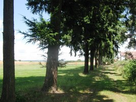 Bylo úmorné polední vedro