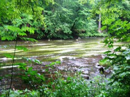 s mnoha tůněmi a peřejemi