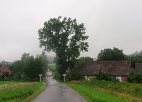 Pěší trasa vede z Třebovic do mlhy