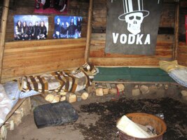 Ne, vypadá to spíš na rowdies