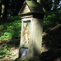 a ve stínu lesa působí tajemně