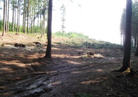 i nepěknými partiemi,