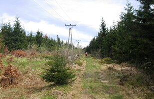 vzhůru pod elektrickým vedením