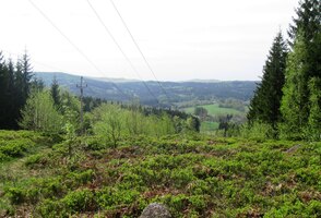 po Prosečském hřebeni