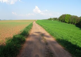 došli cestou necestou