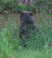 Martin vyhlíží ryby